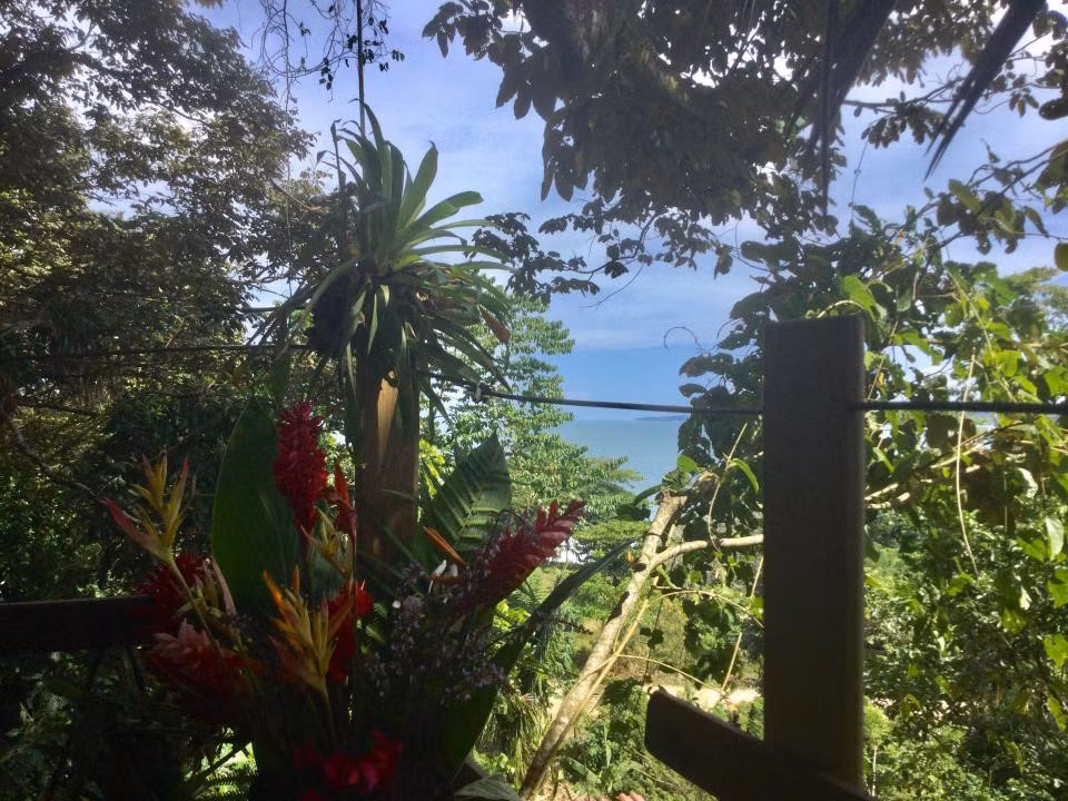 Theo Diane, khi sống trong căn nhà trên cây, bạn sẽ được lắng nghe tiếng sóng, tiếng côn trùng, cảm nhận sự lắc lư khi gió thổi, bị đánh thức với mặt trời mọc trên biển và ánh nắng ấm áp lướt qua rừng cây mỗi sáng.