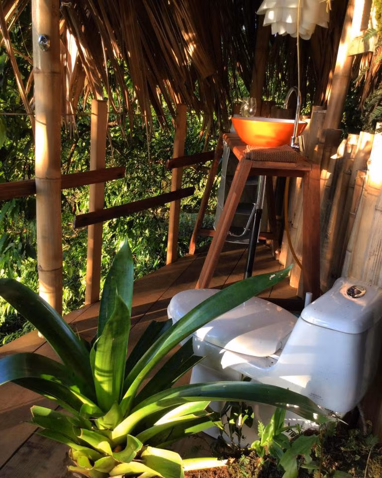 Nói về dự định sắp tới, Diane cho hay đam mê của cô là làm vườn và đã phát hiện sự đa dạng của các loài thực vật trong rừng mưa nhiệt đới tại nơi đang sống. "Tôi thích thử thách sắp tới là biến mảnh rừng nhỏ thành thiên đường vườn, rừng", cô chia sẻ.