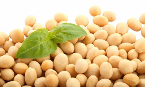 Đậu nành không tốt cho nam giới trong chuyện ấy - Ảnh: Internet