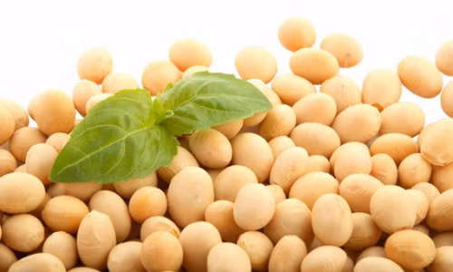 Đậu nành không tốt cho nam giới trong chuyện ấy - Ảnh: Internet