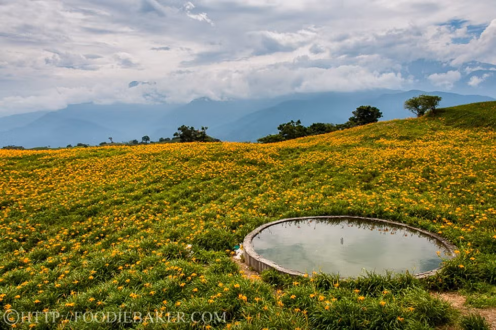 Nơi đây có lẽ được biết đến nhiều nhất với những cánh rừng hoa lily nở mỗi năm một lần khoảng tháng 8 và tháng 9, trải dài trên diện tích ít nhất là 300 ha! Lục Thập Thạch là một điểm nghỉ hè rất nổi tiếng với khách du lịch bản địa nhưng không có quá nhiều du khách nước ngoài, có thể do giao thông ở đây khá bất tiện.