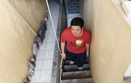 Cầu thang nhỏ đi lên căn tập thể của Chí Trung.