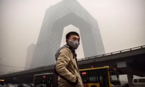 Trung Quoc xuat khau o nhiem: Viet Nam kho tranh qua dang?