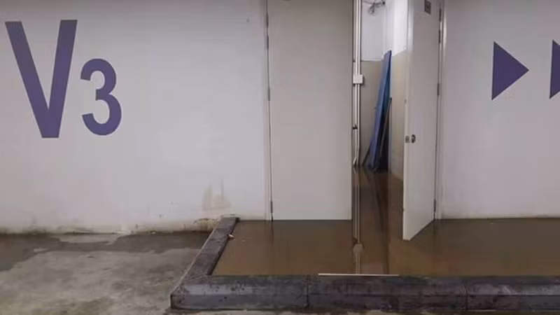 Buc be phot lo thien, ca ngan dan chung cu kho tho, non mua