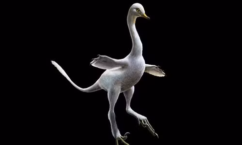 Ảnh phục dựng của con khủng long sở hữu thân hình thiên nga, mỏ vịt, răng cá sấu, chân đà điểu và những móng tay sát thủ - Ảnh: AP Ảnh phục dựng của con khủng long sở hữu thân hình thiên nga, mỏ vịt, răng cá sấu, chân đà điểu và những móng tay sát thủ - Ảnh: AP