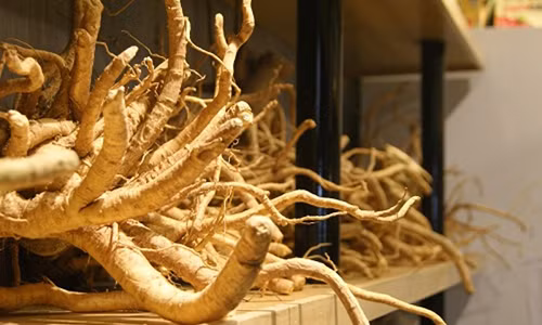 Có tiên dược này cả đời nhà bạn hiếm ai ốm đau bệnh tật Co tien duoc nay ca doi nha ban hiem ai om dau benh tat