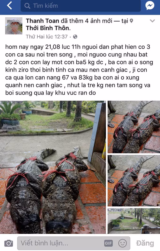 Thuc hu thong tin bat duoc ca sau 83kg o Ca Mau