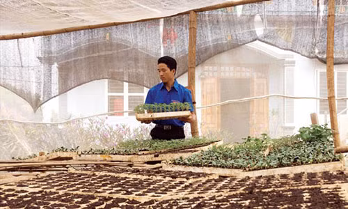 Chang trai nguoi Mong dua cong nghe Israel ve ban ngheo