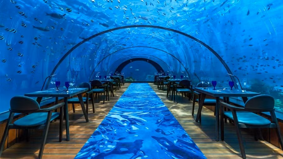 Nằm trong khu nghỉ dưỡng 5 sao Hurawalhi trên đảo Lhaviyani Atoll, thuộc quần đảo Maldives, 5.8 Undersea Restaurant là nhà hàng bằng kính dưới nước lớn nhất thế giới.