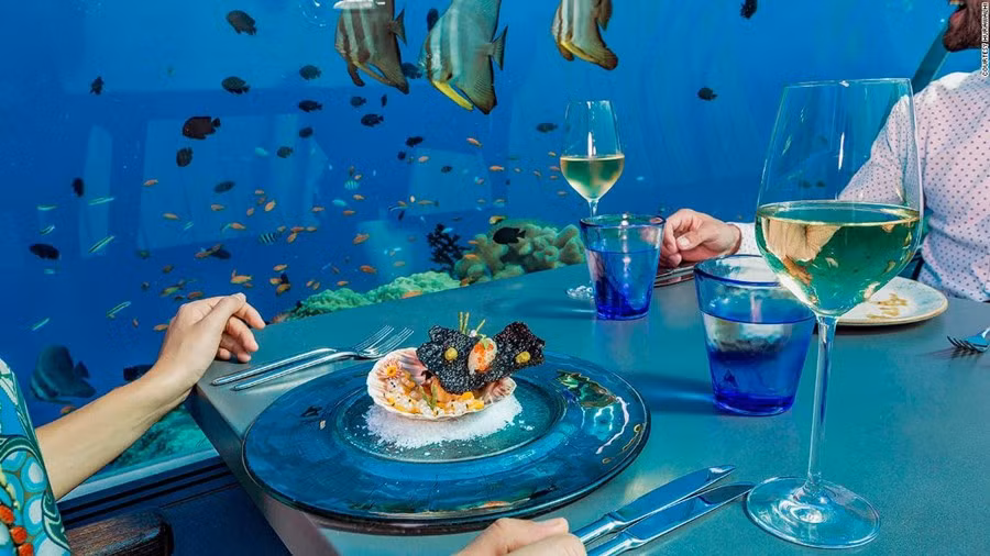 Thực khách tới đây có thể vừa thưởng thức những món ăn đẳng cấp 5 sao vừa ngắm nhìn sinh vật biển bơi lội quanh những rặng san hô đầy màu sắc.
