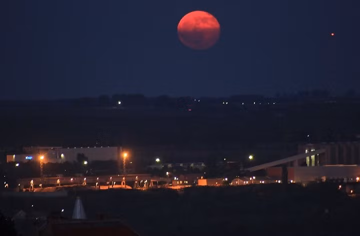 Nhung truyen thuyet rung ron va su that ve trang mau-Hinh-2