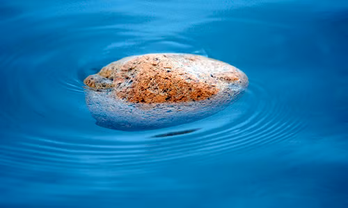 Ky la dang sau loai da co the tu noi tren mat nuoc bien