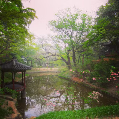 Cung điện Changdeokgung được xây dựng vào năm 1405 dưới thời vua Taejong, hiện nay là một trong những cung điện đẹp nhất ở Seoul. Nơi đây nổi tiếng với Khu Vườn Bí Mật tuyệt đẹp, nằm trong khuôn viên của vùng đất hoàng gia này.