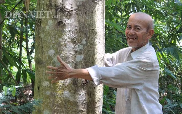 Hon 20 nam cuc nhoc trong 200 ha rung ma khong...ban go-Hinh-2