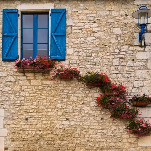 Nếu cửa sổ nhà bạn có quá ít diện tích để trồng hoa, hãy tận dụng thêm bức tường bên ngoài ngôi nhà.