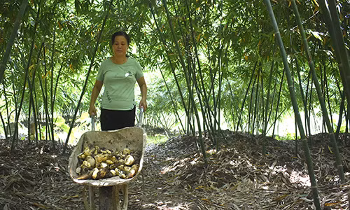 Phat hon chuyen trong tre luc truc cho thu nhap 70 trieu dong/thang