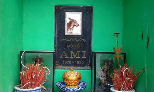 Chuyen chua ke ve ngoi mo “cho to” duy nhat tai Viet Nam