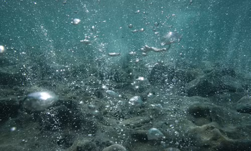 Axit hoa dai duong de doa toan bo sinh vat bien