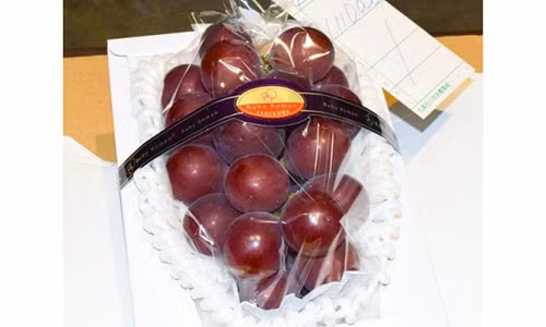 Chum nho pha ky luc voi gia 221 trieu dong