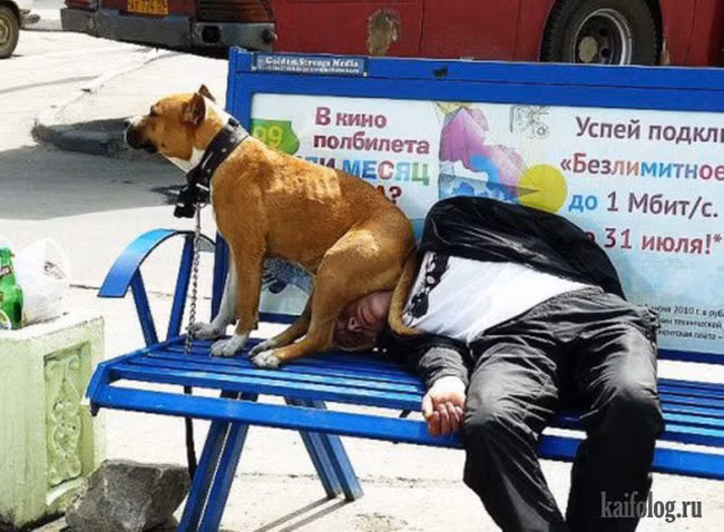 Để em che nắng cho ông anh ngủ nhé.