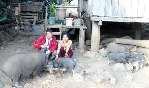 H’Ban (phải) làm thuê, nuôi heo để tích góp tiền đi bắt chồng.