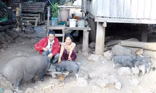 H’Ban (phải) làm thuê, nuôi heo để tích góp tiền đi bắt chồng.