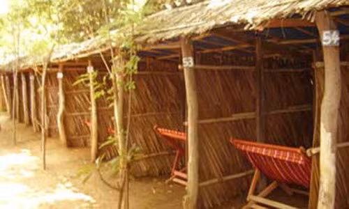 Can bo toa an cung vo bi don vao ca phe “chuong”