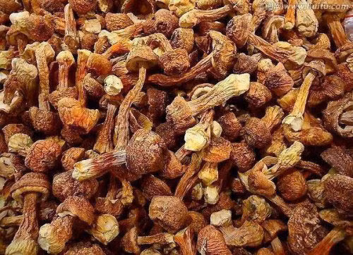 Mua vàng còn rẻ hơn 4 loại rau siêu đắt đỏ này Mua vang con re hon 4 loai rau sieu dat do nay