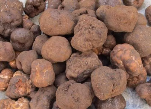 Mua vàng còn rẻ hơn 4 loại rau siêu đắt đỏ này - Hình 3 Mua vang con re hon 4 loai rau sieu dat do nay-Hinh-3