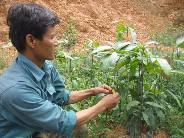 Kiem tien ty nho uom cay giong tu hat…vut thung rac