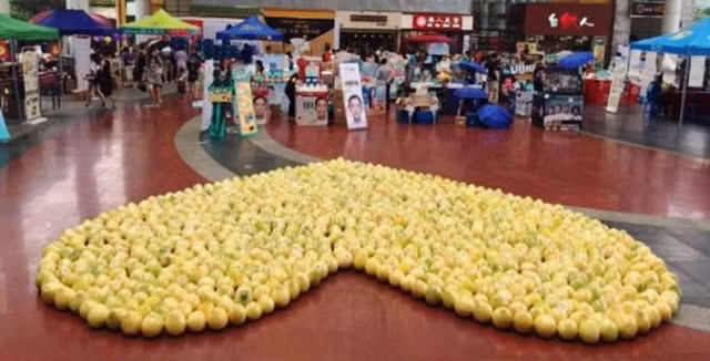 Năm ngoái, một sinh viên năm ba tại Trung tâm Cao học Quảng Châu, thành phố Quảng Châu, tỉnh Quảng Đông, Trung Quốc đã quyết định tỏ tình với cô chị khoá trên bằng 999 trái bưởi được xếp thành hình trái tim và cũng phải nhận một cái kết không thể đắng hơn khi cô gái đã cầm mic và nói những câu phũ phàng: "Xin lỗi, em không có tình cảm với anh. Em chỉ coi anh là một người bạn thân mà thôi. Nhưng em sẽ nhận những trái bưởi này vì không muốn phụ lại lòng tốt của anh". Sau đó, cô gái đã chia sẻ toàn bộ 999 trái bưởi tình yêu của chàng trai với tất cả mọi người trong trường.