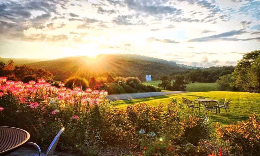 Phía sau trang trại là vườn hoa, tiếp giáp với đồi thoải, núi non cùng cảnh sắc thiên nhiên tuyệt vời của vùng này.