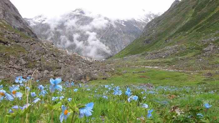 Khu liên hợp rừng núi phía bắc, Myanmar: Công viên quốc gia Hkakabo Razi và khu bảo tồn Hponkan Razi tạo thành Khu liên hợp rừng núi phía bắc rộng lớn của Myanmar. Chỉ 1,4% khu vực này chịu sự tác động của con người. Khu liện hợp này chưa được các nhà khoa học hay cộng đồng leo núi khám phá. Hệ động thực vật hoang dã nơi đây cũng vẫn còn là một ẩn số. Ảnh: WCS.