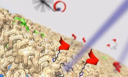 Sử dụng “động cơ” nguyên tử siêu tốc diệt tế bào ung thư Su dung “dong co” nguyen tu sieu toc diet te bao ung thu