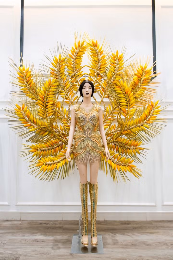 Dai dien Viet Nam mang hon 20kg lua di thi HHHV Quy ba 2017