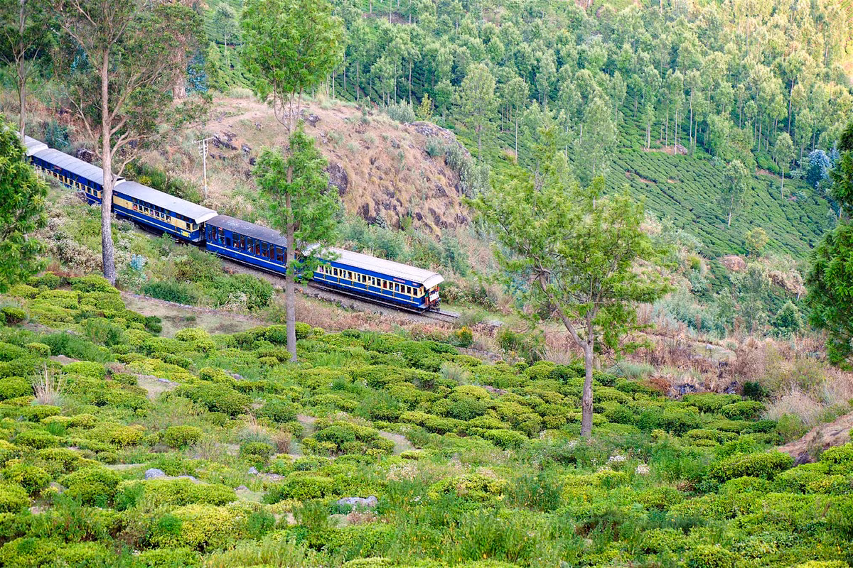 Ấn Độ Từ lâu đã được những du khách theo chủ nghĩa tiết kiệm ưu ái, nay Ấn Độ đang dần trở nên đắt đỏ hơn, nhưng vẫn rẻ đến không tin được. Ngay cả những người binh thường nhất cũng có thể mua được vé hạng nhất trên chuyến tàu hỏa xuyên Ấn, tuyến tàu đêm Delhi-Udaipur chỉ tốn khoảng 30 USD (khoảng 700.000 VND) cho buồng ngủ ở khoang hạng nhất.