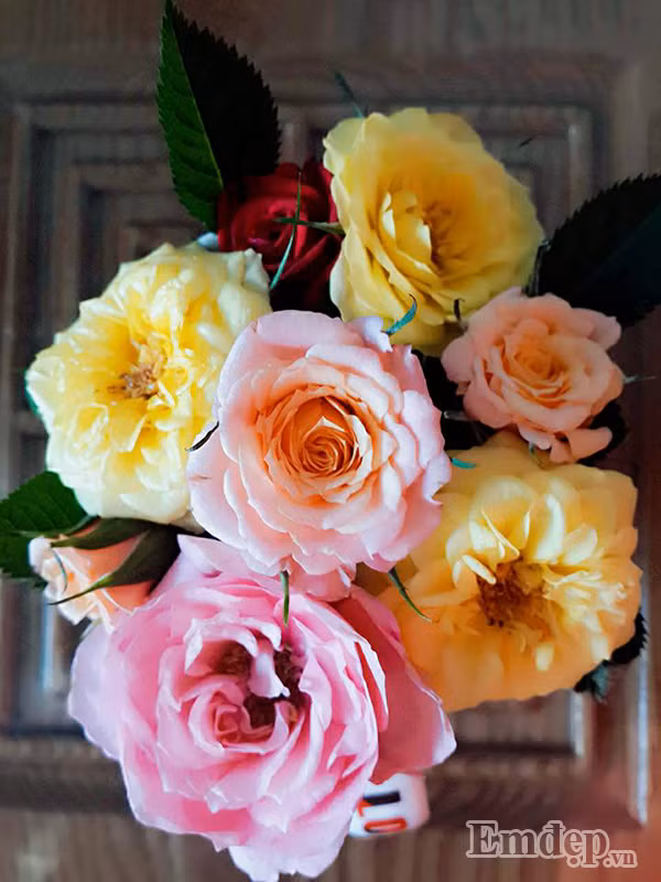 Đam mê trồng trọt và tình yêu thiên nhiên như ngày một lớn hơn đối với chị Huệ. Khu vườn không chỉ cung cấp những thực phẩm sạch mà còn là nơi thư giãn cho gia đình của chị sau mỗi ngày làm việc mệt mỏi, căng thẳng.