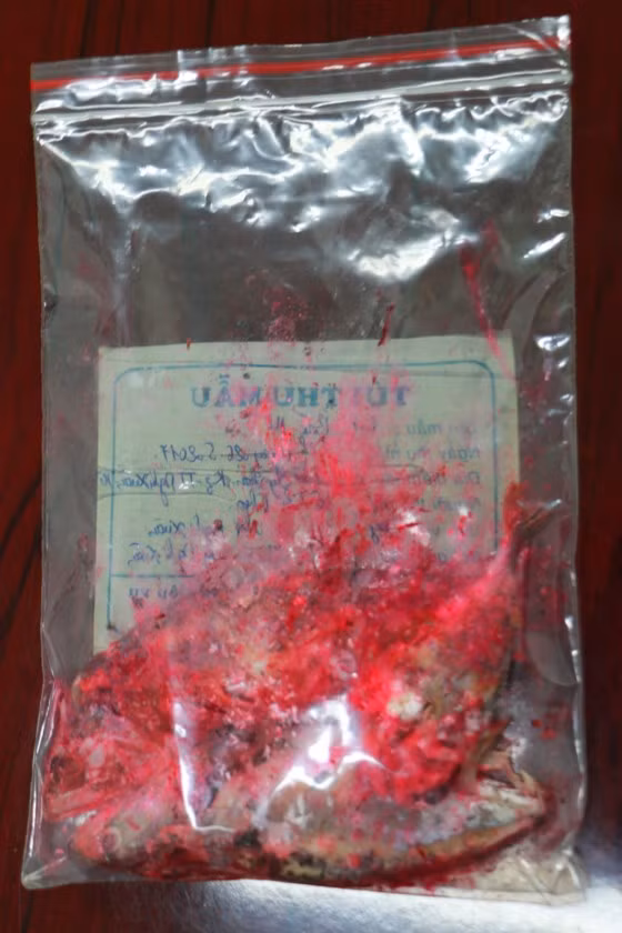 Ha Tinh: Ta hoa ca kho doi mau dang so chi sau mot dem-Hinh-2