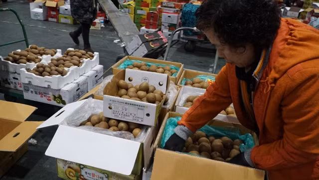 Ngoài hoa quả, các loại rau, củ quả cũng được đấu giá. Trong ảnh là các mẫu khoai lang- mặt hàng thường xuyên có mặt trong các phiên đấu giá.