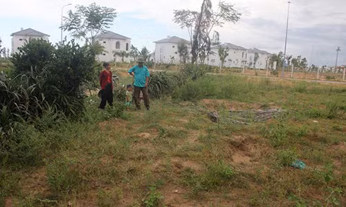 Chieu truc loi dat vang cua quan huyen