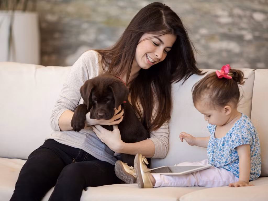 Người trông trẻ bán thời gian Mức lương: 300-600 USD/ngày/trẻ Người trông trẻ toàn thời gian Mức lương: 65.000-185.000 USD Hỗ trợ gia đình Mức lương: 60.000-90.000 USD Giáo viên tại gia Mức lương: 100.000-200.000 USD