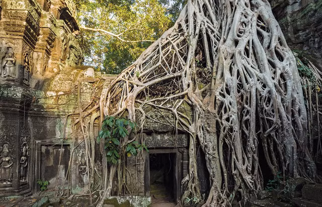 Siem Reap (Campuchia) là nơi được biệt đến với ngôi đền cổ có những rễ cây kỳ lạ. Trong ảnh là đền Ta Prohm, nơi được sử dụng làm bối cảnh bộ phim Tomb Raider (2001) với sự tham gia của Angelina Jolie với vai LaraCroft.