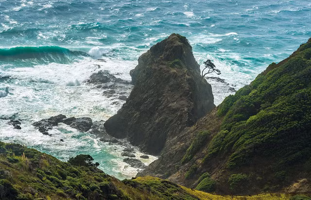 Đây là cây Pohutukawa duy nhất trên một vách đá nhìn ra biểnCape Reinga ( New Zealand).