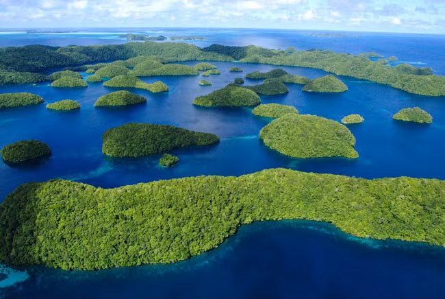 Palau (Diện tích: 459 km2; Dân số: 21.347 người) Palau là một đảo quốc bao gồm hơn 300 hòn đảo lớn nhỏ khác nhau. Rừng nhiệt đới ở đây có nhiều loài thực vật và chim đặc hữu, trong khi vùng biển quanh đảo là nơi sinh sống của hơn 130 loài cá mập. Nhưng địa điểm nổi tiếng nhất của một trong những quốc gia nhỏ nhất thế giới này là hồ nước mặn với hơn 2 triệu con sứa.