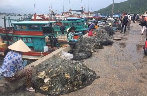 Hiu hat nhung manh doi oan minh kiem 80 nghin qua ngay