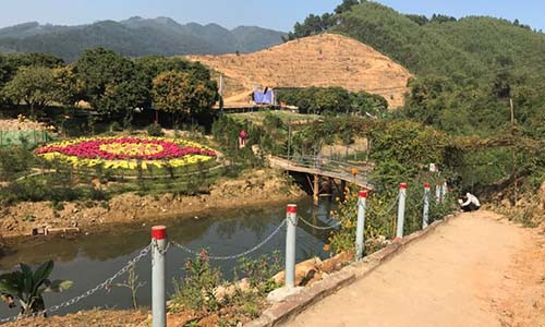 Khu vực cô đồng Hòa đang trồng cây dược liệu với cảnh cổng luôn đóng kín và dòng chữ “Xuống xe, tắt máy, xuất trình giấy tờ”.