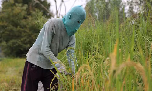 Nguoi phu nu Trung Quoc deo mat na suot 10 nam