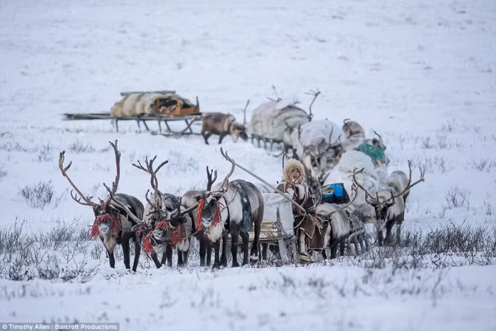 Ở Yamal-Nenets, nơi được cho là “tận cùng” của thế giới, nhiệt độ có thể xuống dưới -50 độ C.