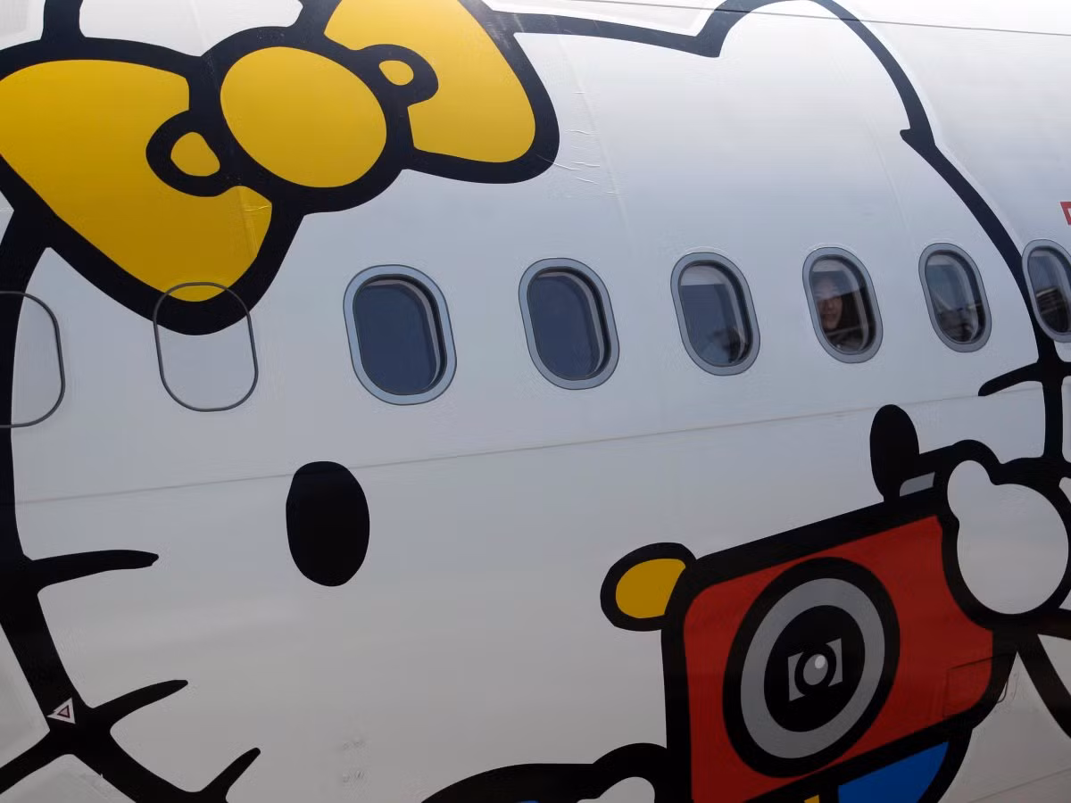 Hình ảnh những chú mèo màu hồng dễ thương không chỉ cuất hiện ở ngoài vỏ máy bay mà còn có mặt trong cả nội thất và những đồ dùng nhỏ nhất.