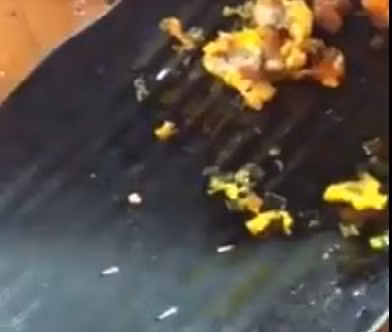 "Kinh hon" vi an tom hum, ga ran duoc "khuyen mai" ca doi, gian